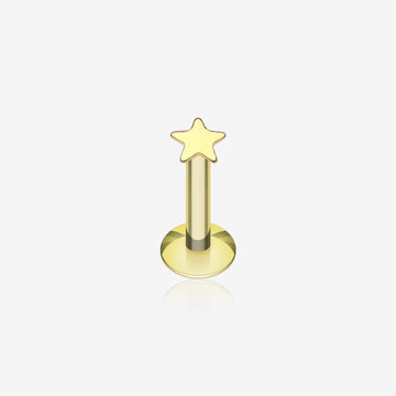 Golden Dainty Star Top Internally Threaded Labret